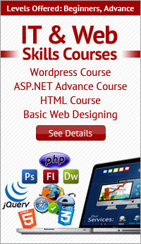 IT & Web Skills